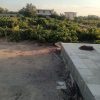 باغ انگوری با برق مسکونی و اوله کشی کامل