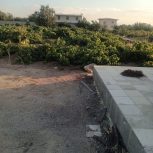 باغ انگوری با برق مسکونی و اوله کشی کامل