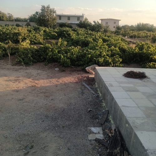 باغ انگوری با برق مسکونی و اوله کشی کامل
