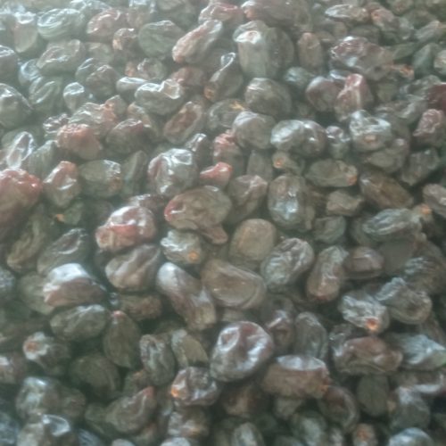 فروش خشکبار مویز وکشمش اورگانیک افتابی درجه ا