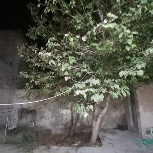 خانه ویلایی