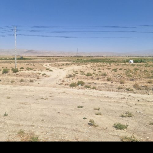 زمین کشاورزی