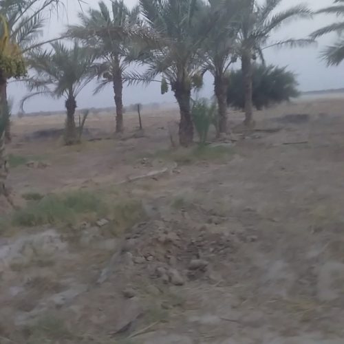 فروش زمین و باغ