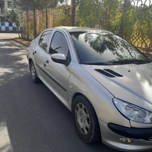 دوگانه شرکتی