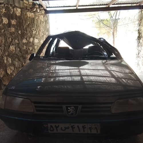 پژوتصادفی‌مدل93