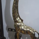 زرافه پلی استور