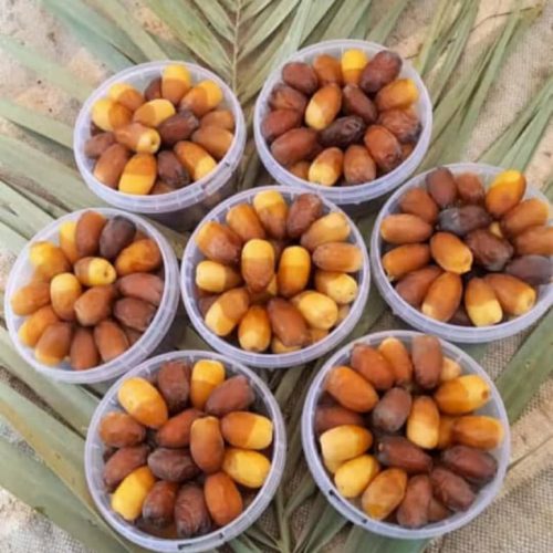 فروش رطب و خرمای درجه یک