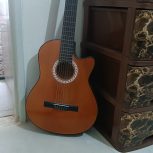 گیتار دیاموند