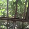 فروش خانه ویلایی ۲۳۰ متری