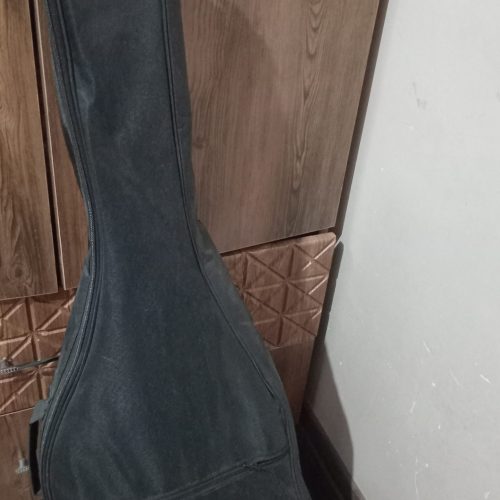 گیتار نو