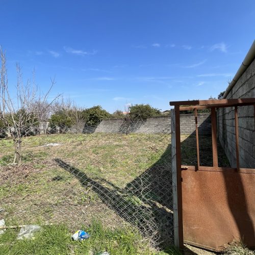 339 متر زمین واقع روستای حاجی‌کلا خیابان شهید صالحی