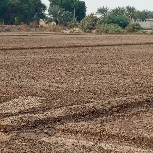 فروش قطعه 60مترمربع  درهویزه روستای گریشیه دارایه پروانه ساخت