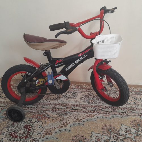 دوچرخه 12 کاملا سالم ونو می باشد