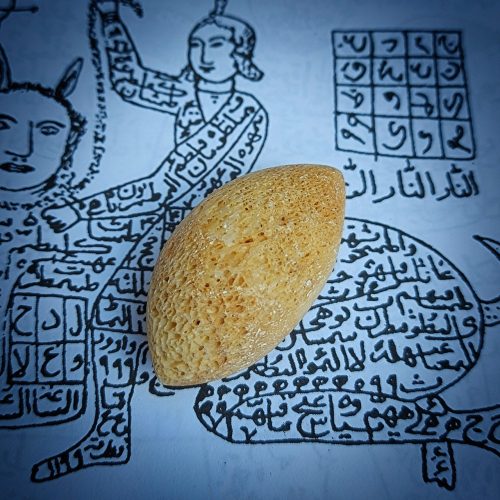 مهره مار اصل