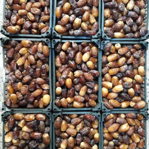 فروش رطب و خرمای درجه یک