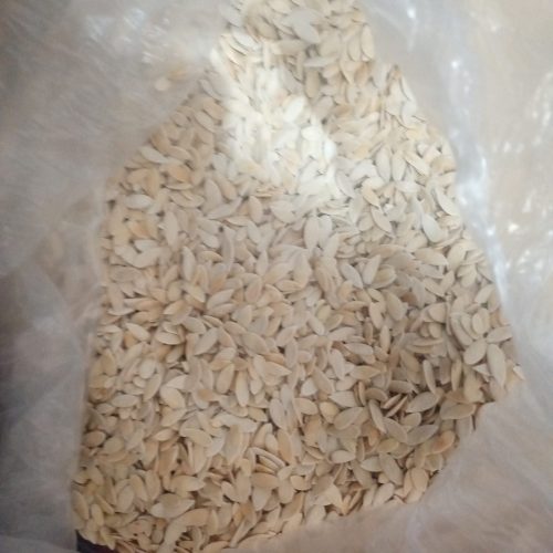 فروش تخمک کیلویی 170 تومان