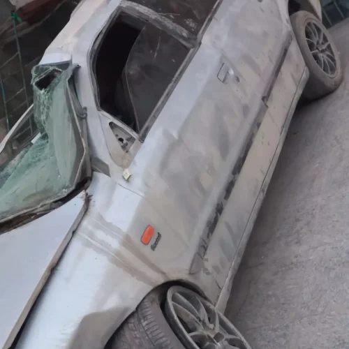 سمند معمولی