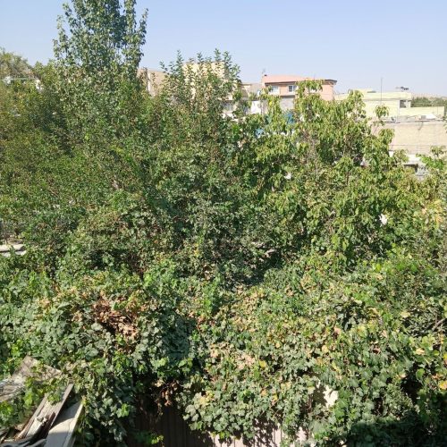 اجاره ویلا منزل ویلای