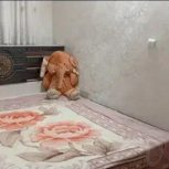 تخت خواب دو نفره