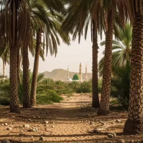 زمین فروشی در خالق اباد500متر فروش به خاطر رفتن به افغانستان