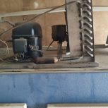 یخچال ویترینی