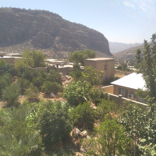 فروش یک باغچه به متراژ 3000 متر وتعداد 130 درخت