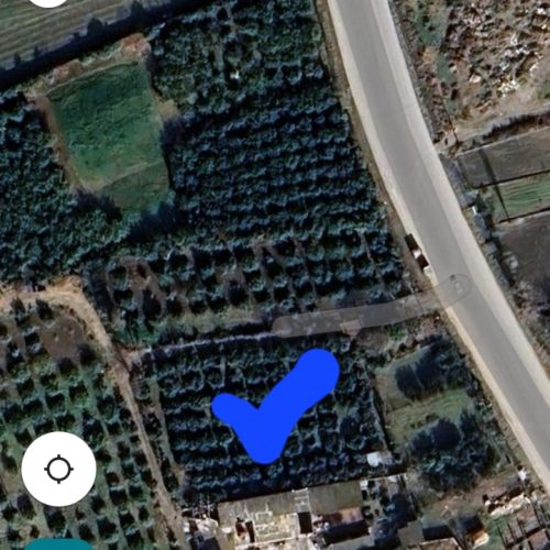 زمین مسکونی متراژ372 با درخت پرتقال