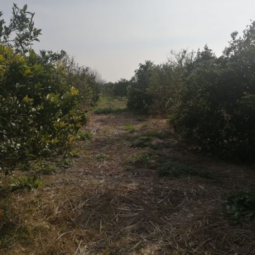 زمین فروشی