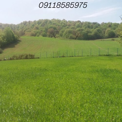 7000 هزار متر زمین کشاورزی دیمی