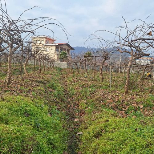 فروش باغ گیوی