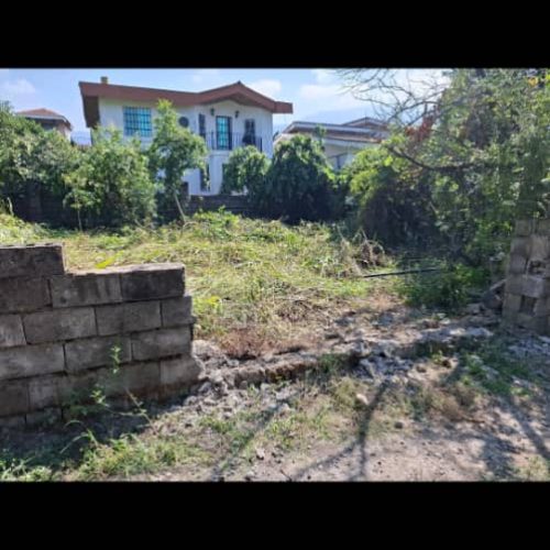 200 متر زمین سی سنگان کوچه شالیزار شهرک نارنج