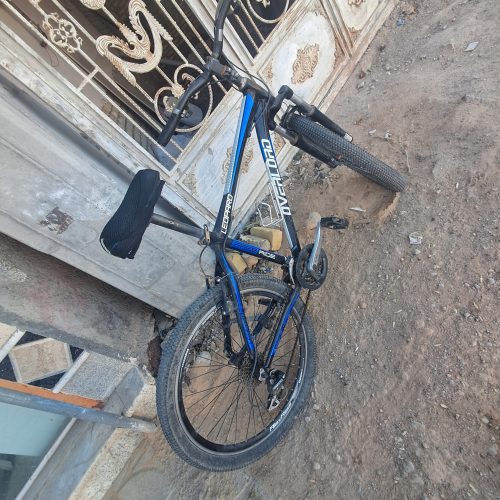 دوچرخه اورلورد