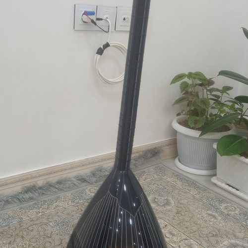 باغلمه الکتریکی دیار  ترکیه  به  شرط