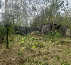 فروش زمین مسکونی با قیمت فوق العاده