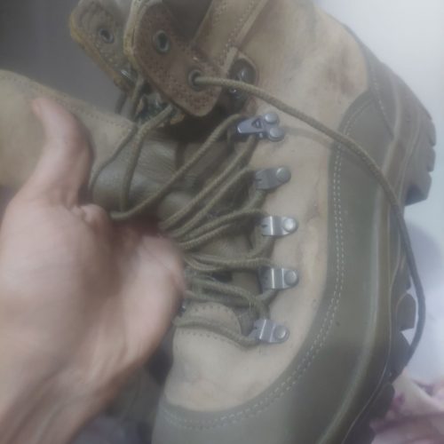 پوتین امریکایی اصل کمیاب