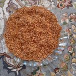 بذر یونجه درجه یک همدان