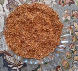 بذر یونجه درجه یک همدان