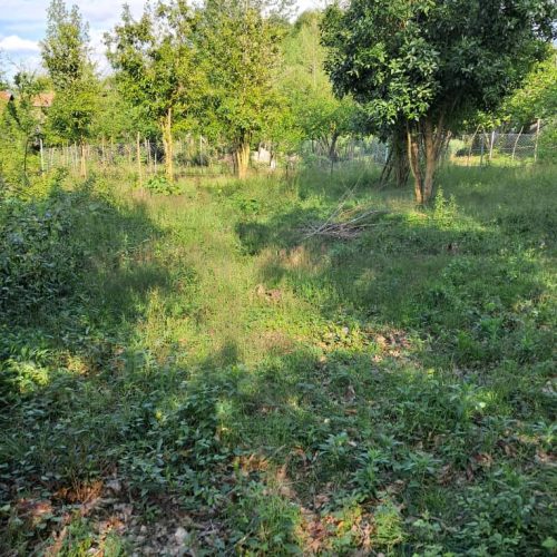 زمین 270 متری تمام مسکونی