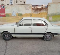 پیکان آرژانتینی