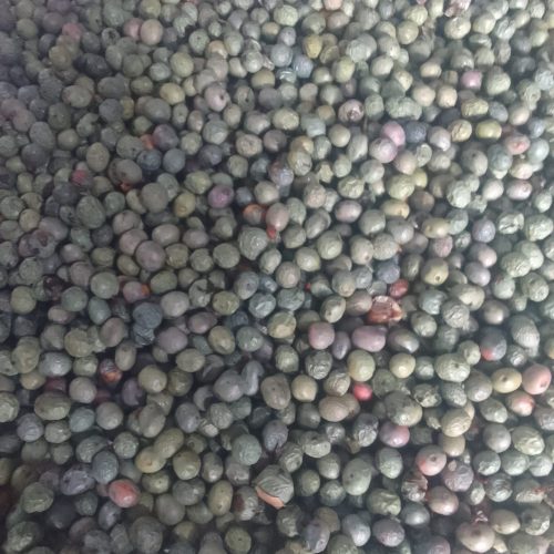 بنه گن تازه مال امسال