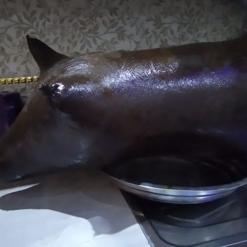 پوست گوسفند