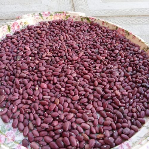 لوبیا قرمز