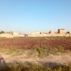 فروش زمین
