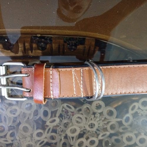 قلاده سگ  و زنگوله