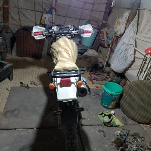 تریل 250دیجیبل