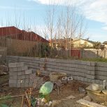 اوستا بنا قیمت مناسب