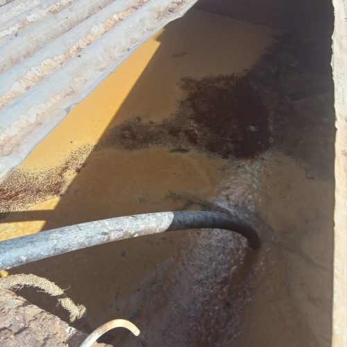 کود مایع ورمی کمپوست