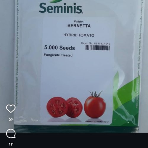 فروش ارقام بذر گوجه فرنگی