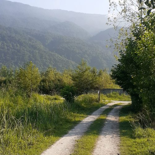 فروش زمین در مازندران نوشهر ملکار