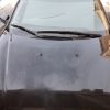 رانا مشکی